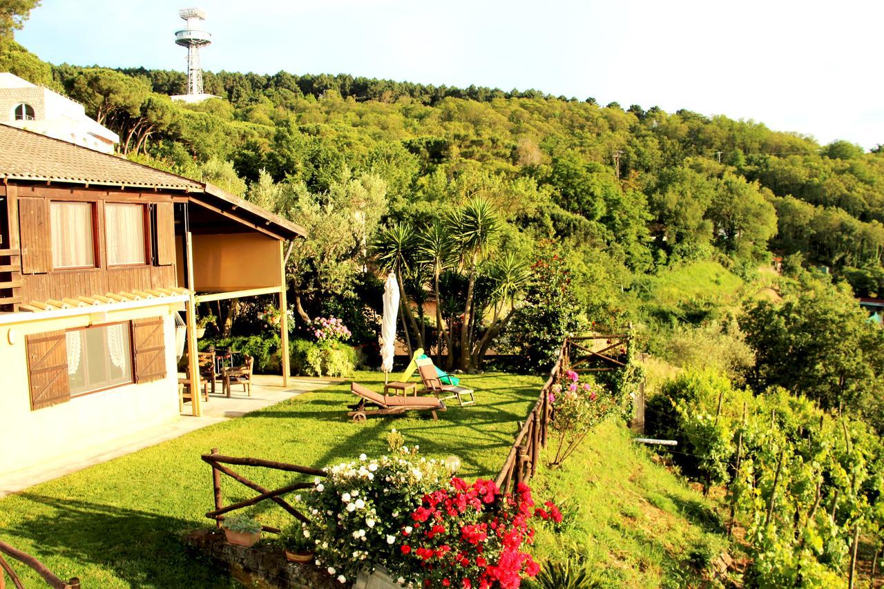 Chalet Annie Villa Sorrento Ngoại thất bức ảnh